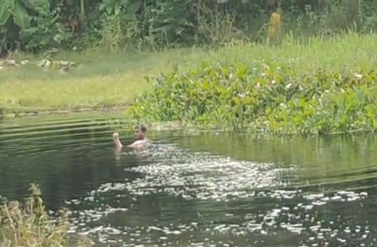 মহেশপুর সীমান্তে বিজিবির বাধায় বিএসএফের পুশ-ইন চেষ্টা ব্যর্থ