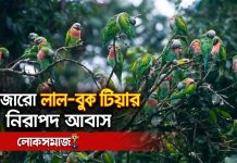 হাজারো লাল বুক টিয়ার নিরাপদ আবাস