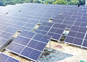 দেশের ৬,৫৪৪ সরকারি প্রতিষ্ঠানের ছাদে সোলার প্যানেল, উৎপাদন হবে ৩০০ মেগাওয়াট বিদ্যুৎ