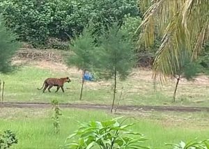 সুন্দরবনে বিষ দিয়ে মাছ ধরা ও হরিণ শিকারে বাধা দেওয়ায় হত্যার হুমকির অভিযোগ