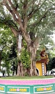 হ্যানয়, এক ফিনিক্স রূপকথা
